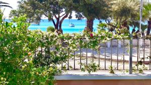 VILLA STELLA fronte mare Porto Frailis img24