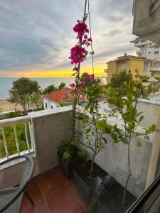 Olgas sea view apartment