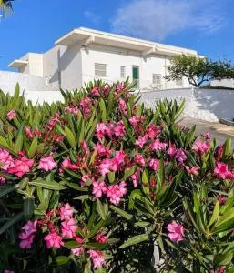 Loredana Affittacamere - Case Cicirello