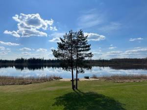 Mäeküla Järve Palkmaja