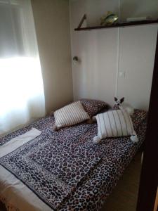 Campings Coin de paradis : photos des chambres