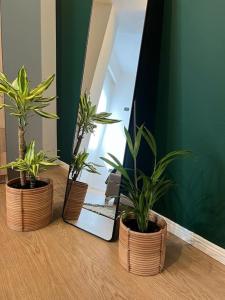 Emilios Apartments Astir