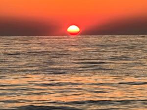 Appartements Appartement n 302 moriani plage : photos des chambres