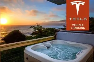 Magnificent Oceanview by OceanviewHotTubs Oceanfront! Shelter Cove, CA Tesla EV station - 加伯维尔