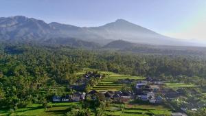 Raturinjani homestay