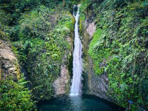 Panchakanya Trout House & Mini Resort