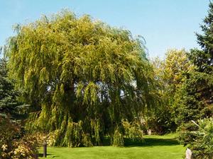 Heuboden F5 Comfortable holiday residence