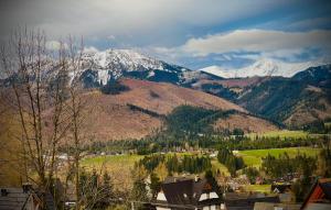 Villa Alexandra jacuzzi