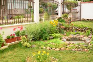 Guest House Nocturno