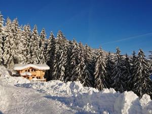 obrázek - Romantic Chalet Waldschlössl