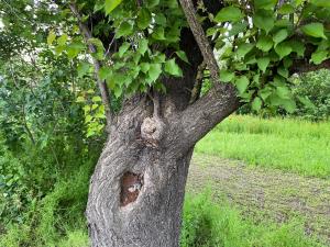 Ferienhaus Primorska Sunshine in Strandnähe