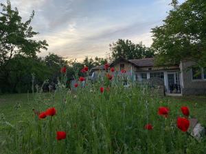 Ferienhaus Primorska Sunshine in Strandnähe