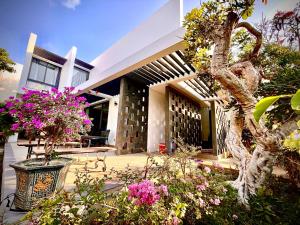 Oceanami Villas & Beach Club