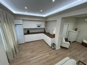 Pintor Espinosa 3 loft - Majaneque