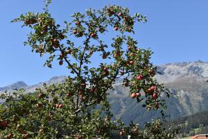 Hirschstube Nauders
