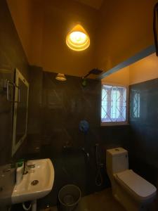 Hostello Backpackers Hostel