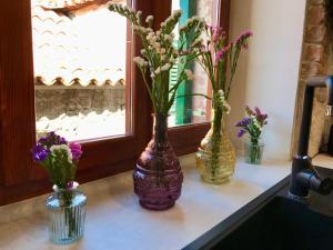 Split Centar Diocletians Palace