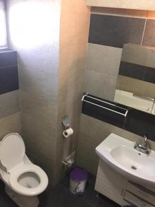 Joy life Costinești 2