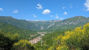 B&B Fiume