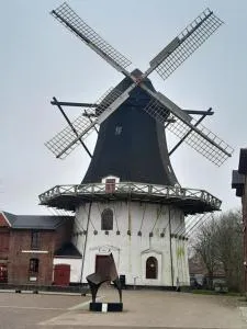 Apartment bei der Windmühle - Emmerlev
