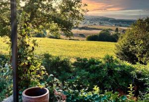 B&B / Chambres d'hotes La Ferme du Bois de Plottes : photos des chambres