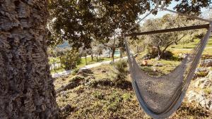 Recidence Villa Olivia