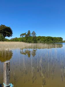 Lough Corrib Lodge - with private access to lake