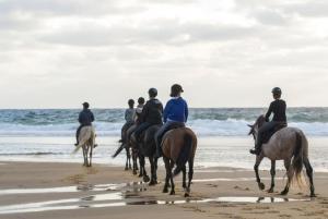 Maisons de vacances BELLE MAISON BRETONNE TYPIQUE PRES DE LA PLAGE : photos des chambres