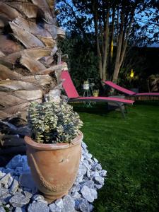 Maisons de vacances Mazet des Orchidees - Gite 4 personnes 50 m2 - Jardin, spa prive - independant - stationnement prive : photos des chambres