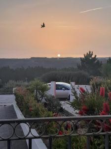 Vicentin Coast
