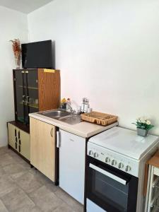 Apartment Ivica