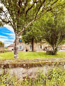 Maisons de vacances Ensemble 7 gites avec Piscines 50 couchages, Les Naudines Cottages : photos des chambres