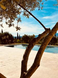 Villas Mas de la canopee-Luberon : photos des chambres