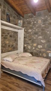 House with big garden and barbeque in nature