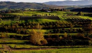 Poggio la Luna - La casa nel vigneto
