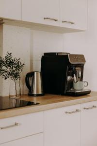 Osada Grzybowski Młyn apartamenty z dużym ogrodem KAISERÓWKA