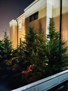 S & S Apartment 2 bedroom with Balcony & Terrace Dumbravita free Parking at location 2 spaces