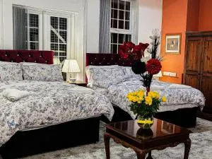 The Trinity Lodge - Self Serviced - 西布罗姆维奇