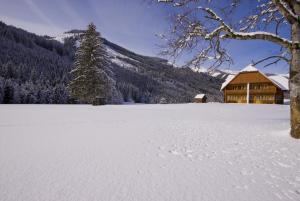 Schaffergut Appartements