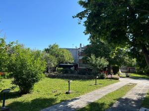 Zeusplace Magic Pool Villa