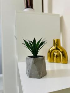 S&S Apartment Studio Parcare la locație !!!