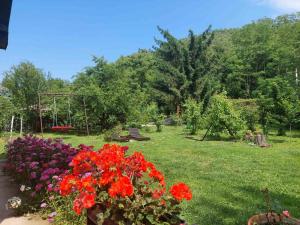 Fruškogorska kuća - Andrevlje lounge, naselje Testera