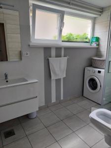 Apartmaji Iris Kobarid