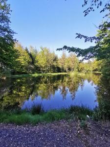 Chalet - gîte avec étang