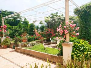 Apartments & Rooms Cakelic I