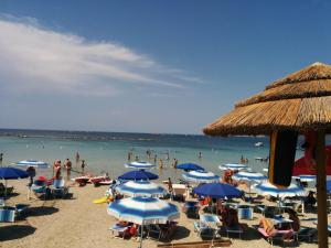 Campeggio la Mariposa img21