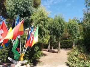 Campeggio la Mariposa img39