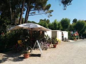 Campeggio la Mariposa img41