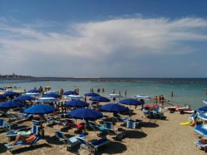 Campeggio la Mariposa img43