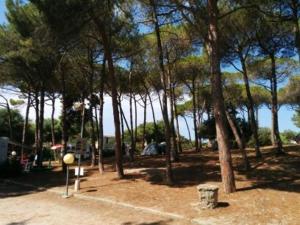 Campeggio la Mariposa img68